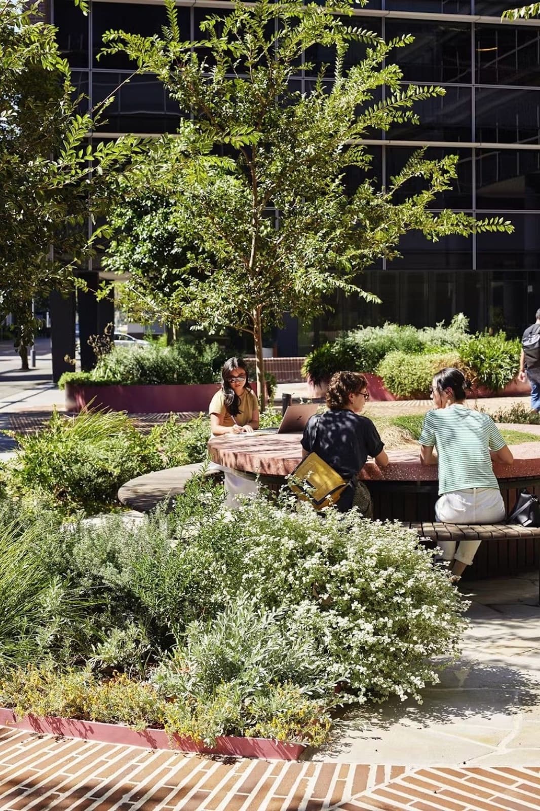 Impression of a green courtyard garden at MORE where residents work together at a table